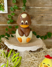 Plume le poussin - Chocolat lait 150g