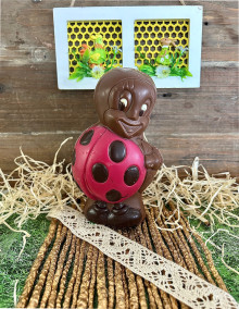 Cocci la coccinelle - Chocolat lait 200g