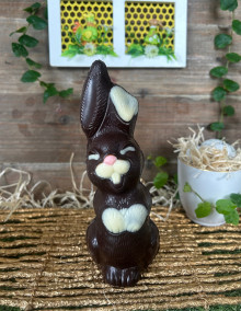 Lapin souriant - Chocolat noir 100g