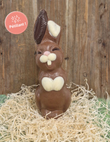 Lapin souriant - Chocolat lait Pétillant 250g