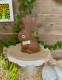 Augustin le lapin - Chocolat lait 80g
