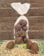 Œufs de Pâques - Chocolat lait 200g